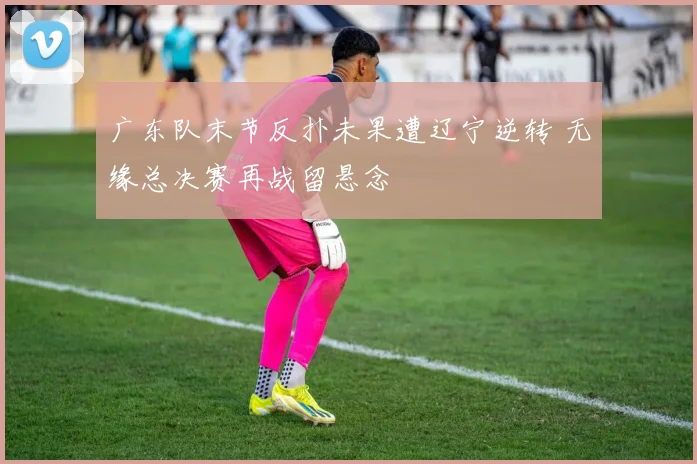 广东队末节反扑未果遭辽宁逆转 无缘总决赛再战留悬念