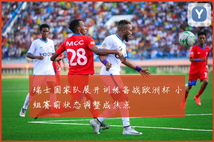瑞士国家队展开训练备战欧洲杯 小组赛前状态调整成焦点