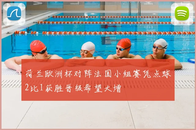 荷兰欧洲杯对阵法国小组赛凭点球2比1获胜晋级希望大增