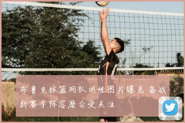 布鲁克林篮网队训练图片曝光 备战新赛季阵容磨合受关注