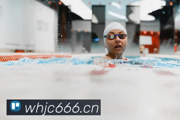 App Interface Preview