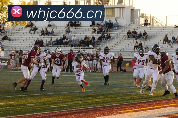 乐鱼网页版登录界面首页APP 封面图